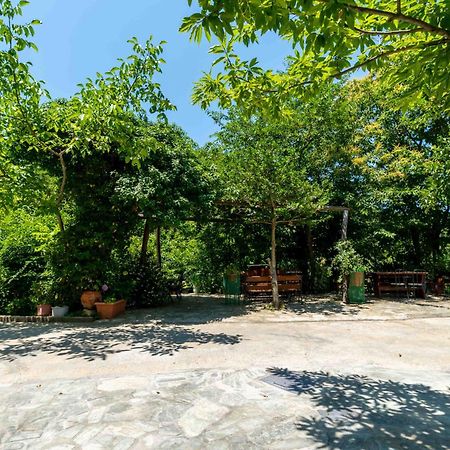 Guesthouse Papachristou Tsagarada Luaran gambar